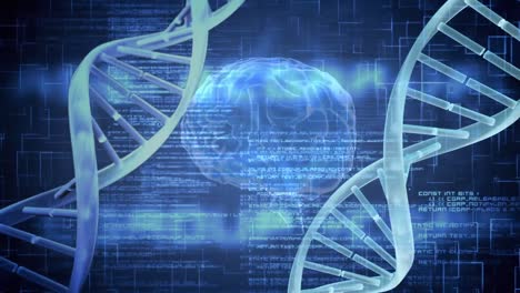 animación del cerebro giratorio y el adn