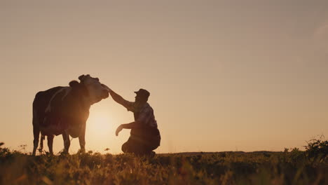 the silhouette of a farmer near a cow