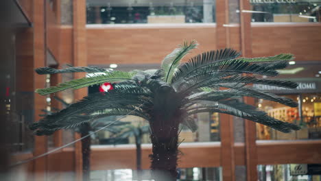 primer plano de una palmera artificial dentro de un centro comercial moderno, rodeado de tiendas minoristas borrosas y tonos interiores cálidos, que muestran una vegetación vibrante y una estética arquitectónica