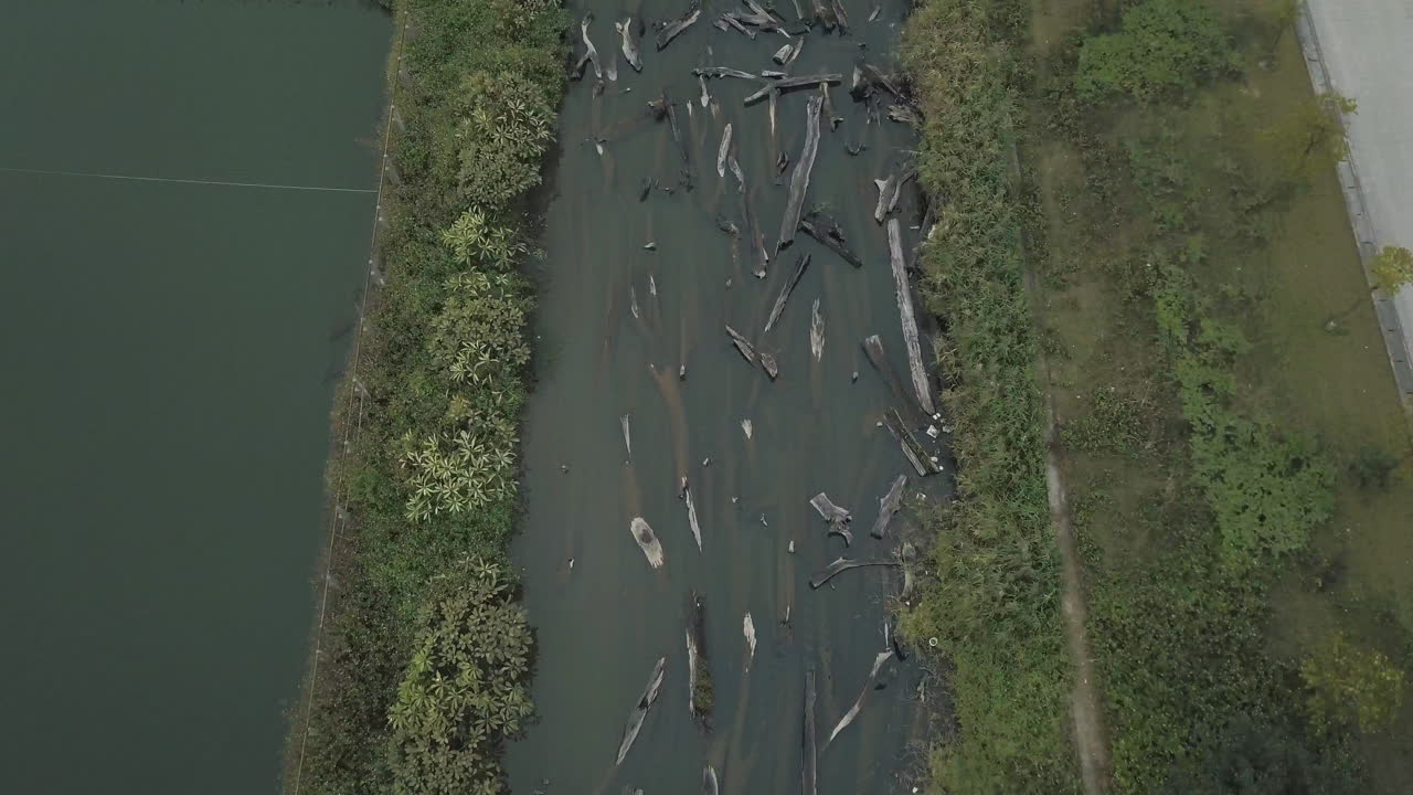 vista superior de numerosos troncos de madera sumergidos en un canal de agua