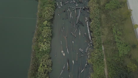 Top-view-of-numerous-wood-logs-submerged-in-a-water-channel