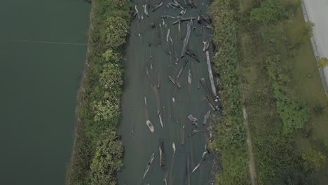 vista superior de numerosos troncos de madera sumergidos en un canal de agua
