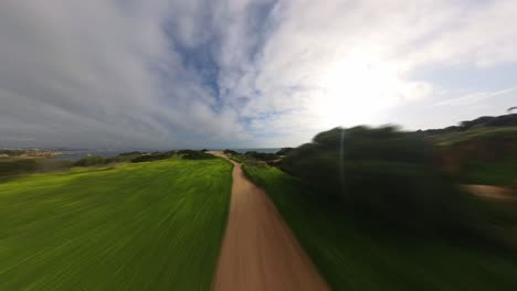 die atemberaubende schönheit der strände, klippen, wellen und des meeres im gebiet ponta da piedade in der region lagos in portugal kann nicht geleugnet werden