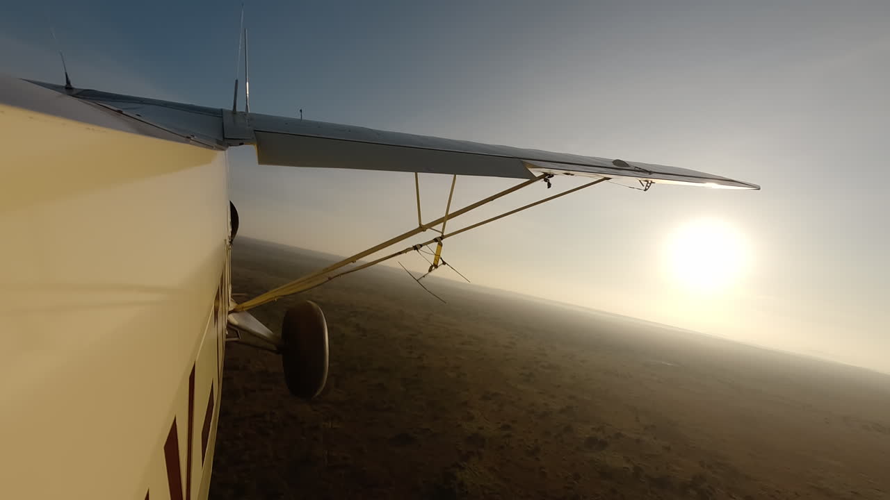 Piccolo aereo in vista laterale sopra arbusti erbosi secchi.