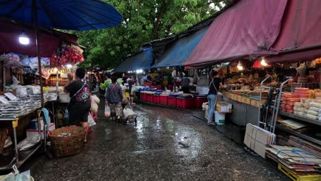 shoppers and vendors busy in a rainy outdoor market