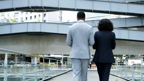 Back-view-of-coworkers-walking-on-street