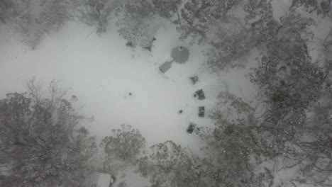 monochrome vertical aerial: guests at winter tent camp prepare to ski