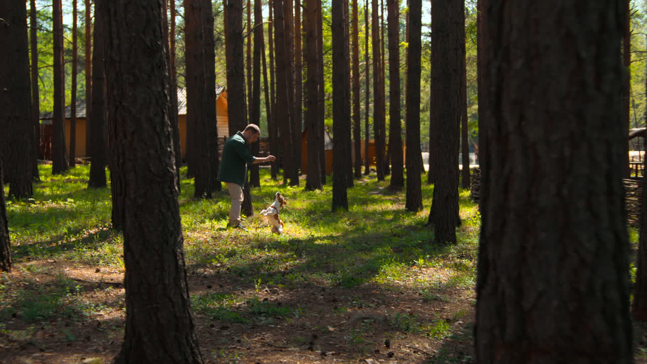숲에서 개와 놀고 있는 남자