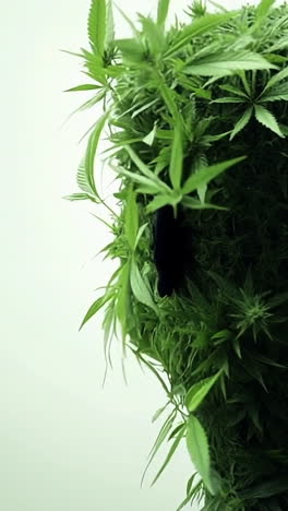 nature-inspired silhouette with greenery