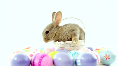 easter eggs and easter bunny in wicker basket