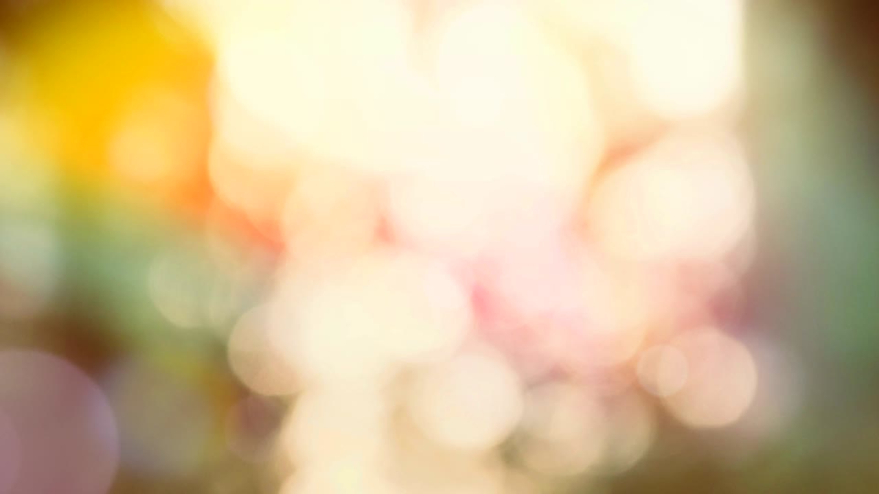 스프링 컬러 배경과 반이고 움직이는 보케