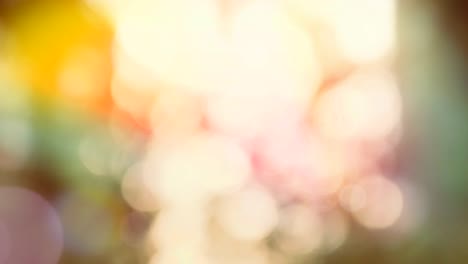 Spring color background and shining and moving bokeh