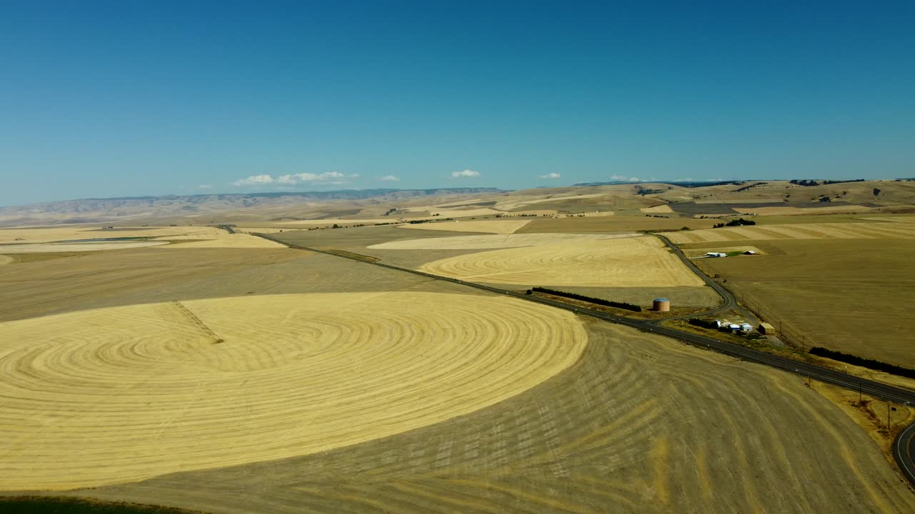 US, OR, Athena, 2025-08-20 - Drone view of dry brown farms fields with center pivot irrigation. In Summer