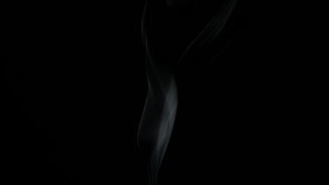 slow motion of abstract white smoke black background