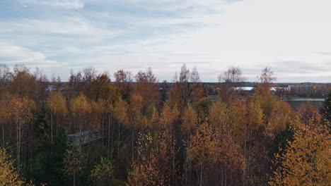 Aerial-drone-shot-revealing-beautiful-golden-colored-forest-treetops-on-an-autumn-day-with-a-river-in-the-background