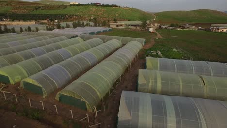 agricultural in greenhouses and drip irrigation