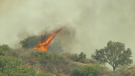 the thomas fire burns out of control in the hills behind carpenteria california 1