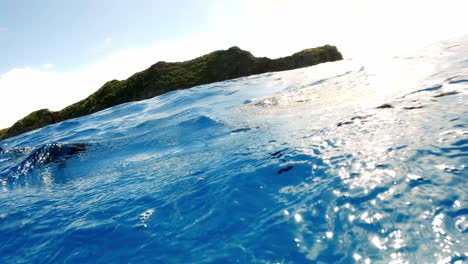 Ein-Delphin,-Der-Im-Meer-Herumtollt-–-Unterwasseraufnahme