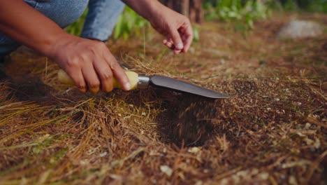 person wearing jeans places a seed in a hole then uses spade to fill it with very dry dirt