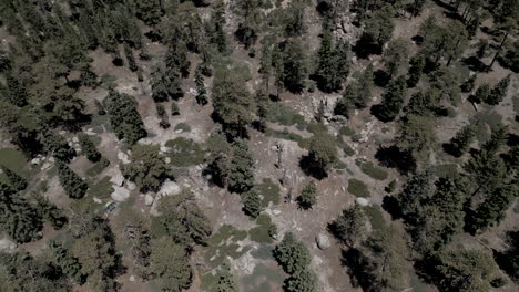 Drone-Flying-Over-Big-Bear-Lake-Bluff-Lake-Landscape