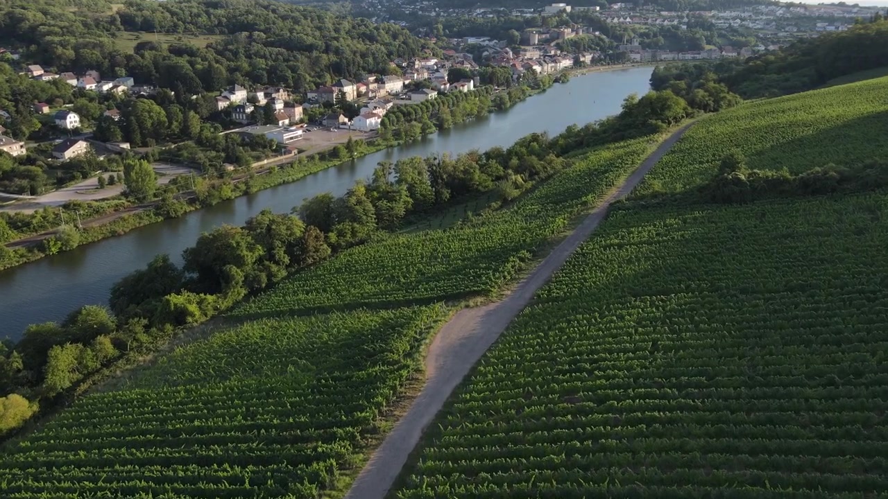 Ripresa aerea con drone dall'alto rivela i motivi geometrici dei vigneti francesi lungo il fiume.