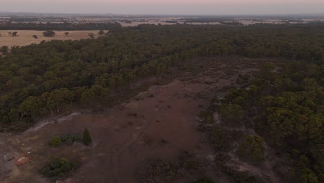 Una-Bandada-De-Pájaros-Blancos-Vuelan-Sobre-Los-árboles-Y-El-Lago-Merremu-En-Australia