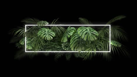 tropical plant with neon light on an black background