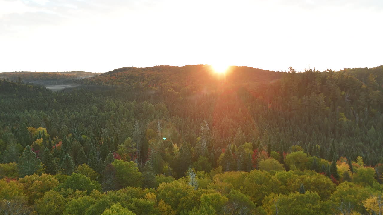 Drone view of a colorful autumn forest with mountains, lake, and river at sunrise in Mauricie, Quebec, Canada. Warm morning light highlights vibrant fall foliage and peaceful landscape