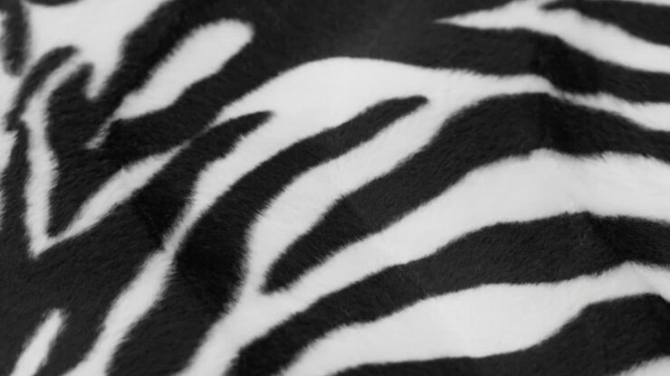 Primo piano di tessuto con stampa zebrata in bianco e nero