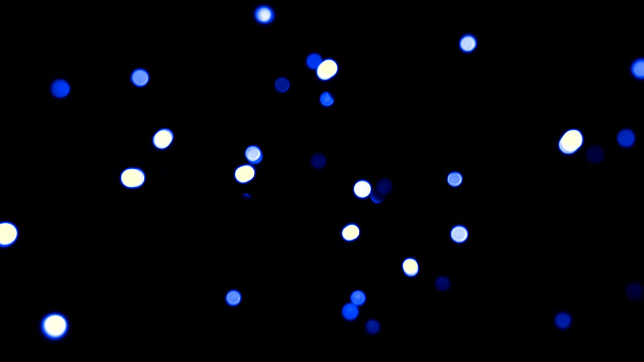 크리스마스 라이트 루프