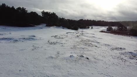 Snowing-while-sand-dunes-covered-in-snow-in-the-winter-forest-landscape-of-Belgium