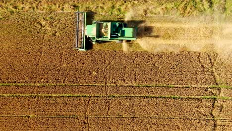 top down view of harvester machines working in wheat field