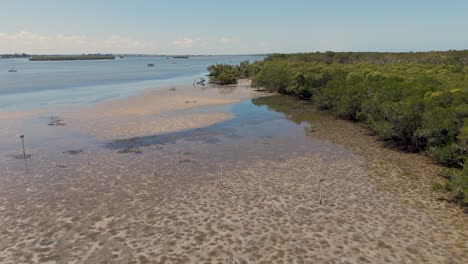 aerial view of sand, water, and mangroves