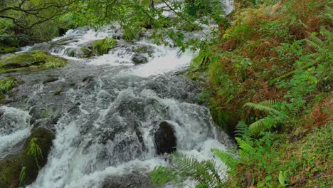 Wildes-Wasser,-Das-Durch-Felsen-Auf-Einem-Wildnisfluss-Rauscht