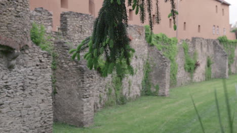 tree branch swaying in front of old stone wall