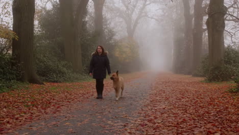 Woman and dog walking on a foggy autumn path