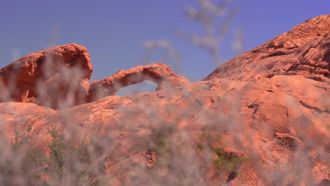 Orange-red-rock-formations-under-a-clear-blue-sky-at-Valley-of-Fire-State-Park,-Moapa-Valley,-California,-wide-shot