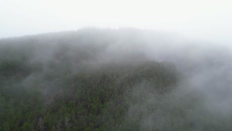 Drohnenflug-Durch-Tiefe-Wolken-über-Einem-Bewaldeten-Tal-In-Wales