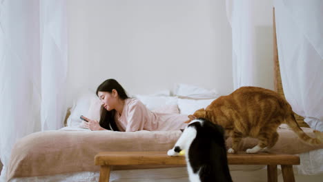 mujer alimentando gatos