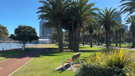 Palm-trees-on-Riverside-Drive,-Perth-with-Elizabeth-Quay-and-skyscrapers-in-the-background