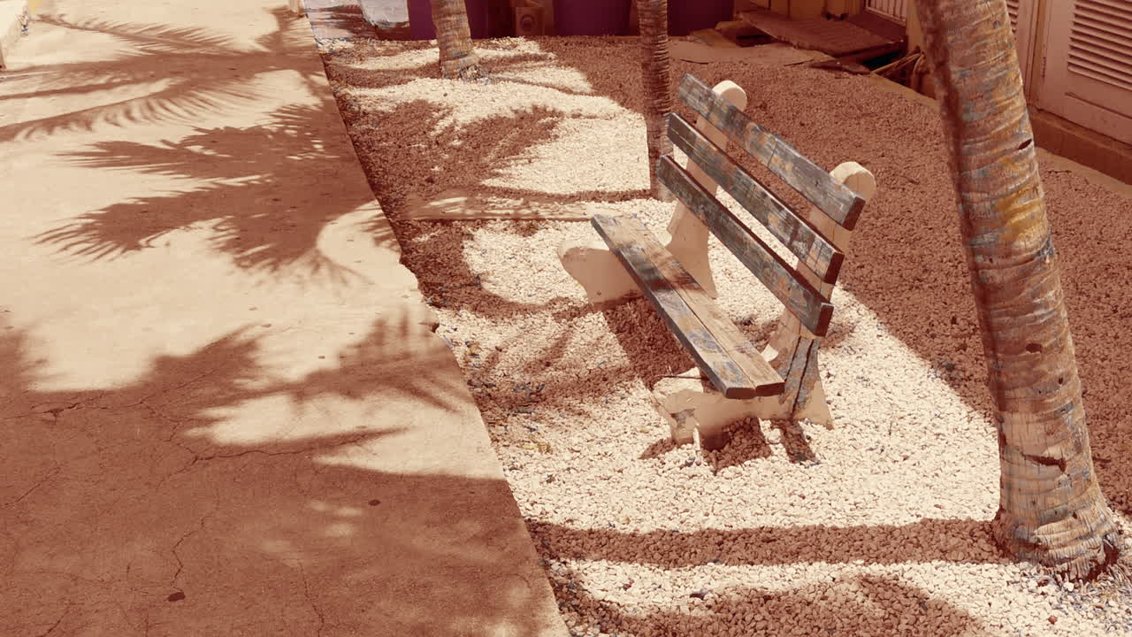 A broken bench in the afternoon sun.