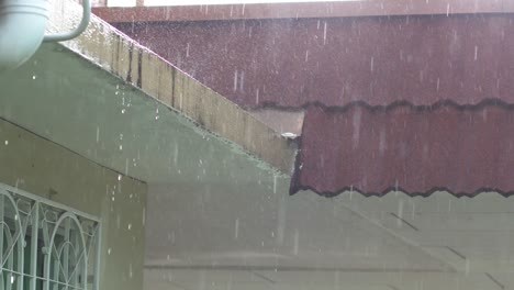 imágenes en 4k de gotas de lluvia tropical cayendo.