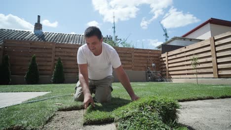 gardener laying lawn in private yard with wooden fence