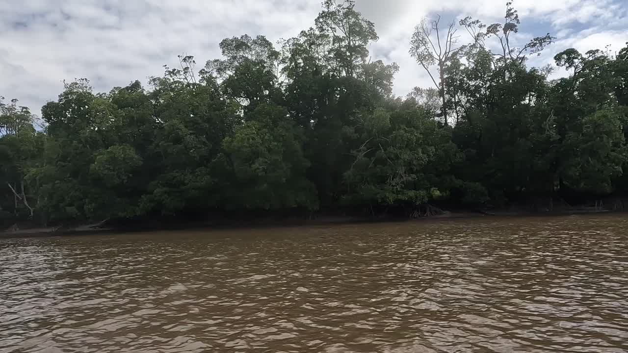 인도네시아 파푸아 주 아스마트 강