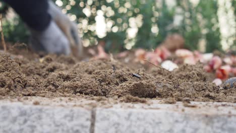 gardening in a garden bed