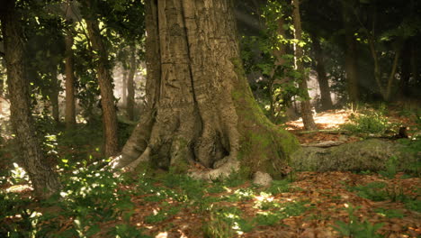 a serene forest scene featuring a large tree surrounded by lush greenery