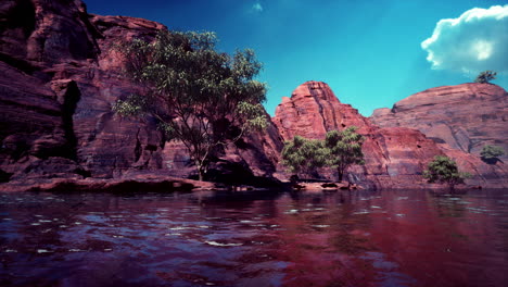 lago powell en un día soleado de verano