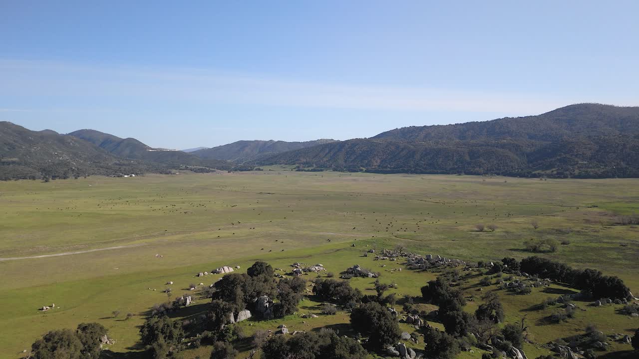 pasto verde com rebanho de gado doméstico na base da montanha palomar em san diego, califórnia, eua