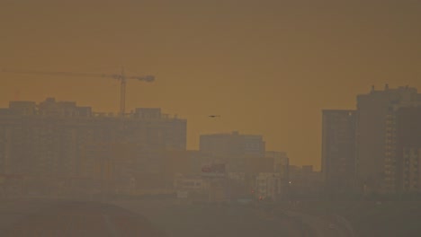 Golden hour cityscape with hazy skyline and flying bird, misty and tranquil atmosphere