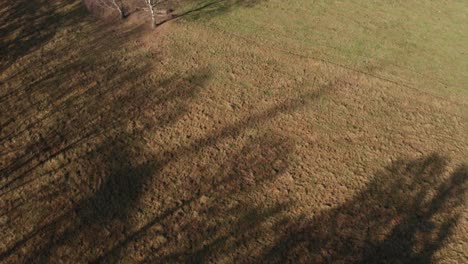 Sombra-De-La-Central-Eólica-En-La-Pradera-Junto-Al-Bosque